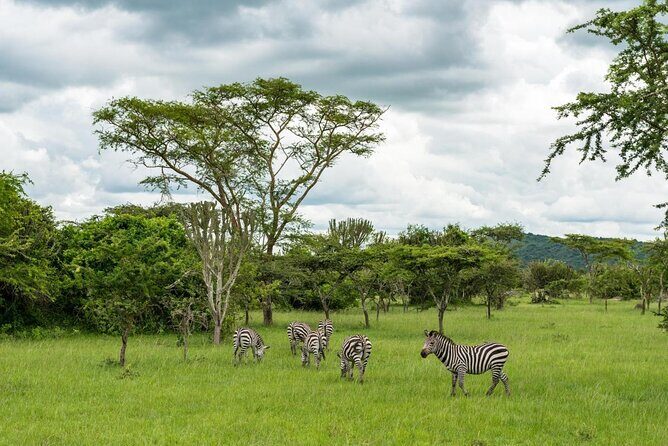 2 Days Popular Safari to Lake Mburo National Park - Key Highlights You’ll Actually Feel