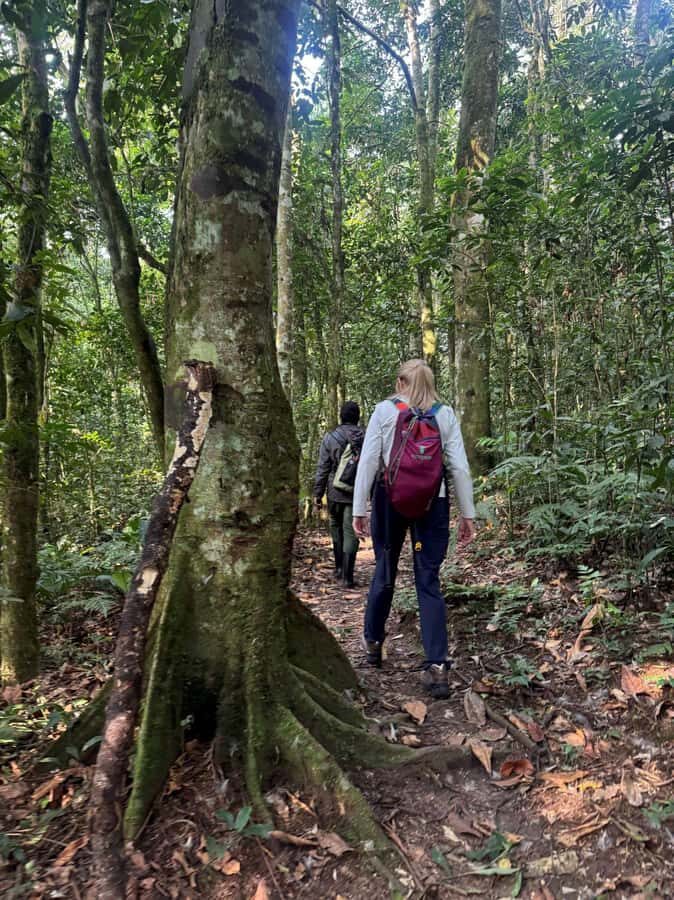 3-Day Gorilla Experience In Uganda - Price and Value: What $1,850 Per Person Covers