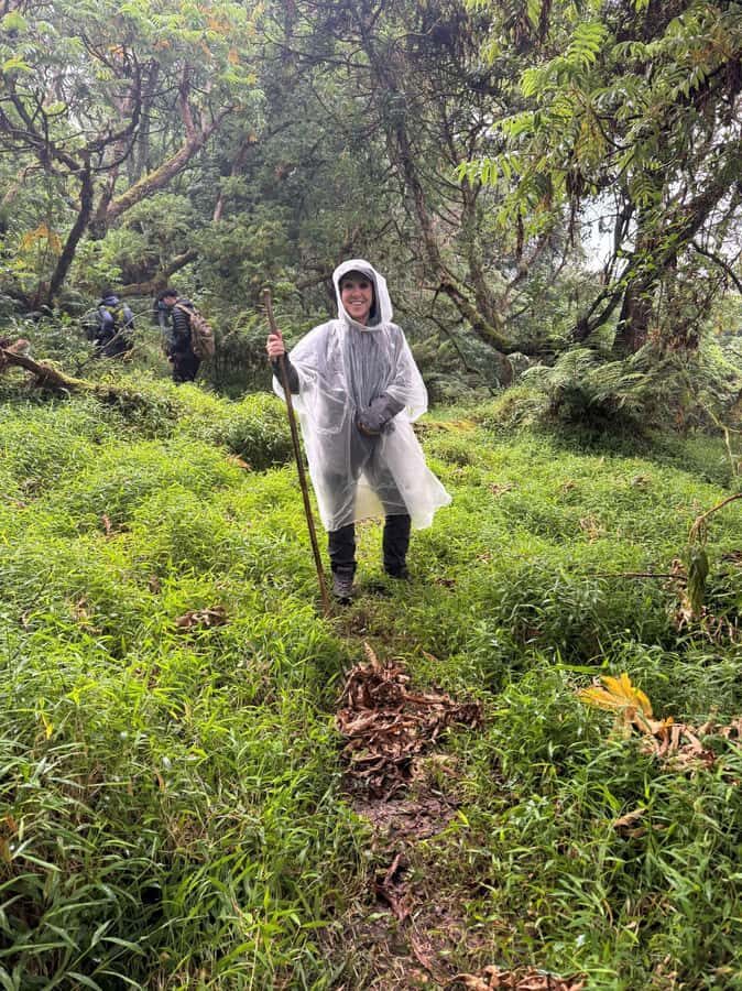 3-Day Gorilla Experience In Uganda - Guide Quality: Communication, Safety, and the Lizzy + Charles Factor