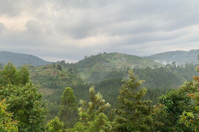 3 Day Gorilla Trekking Luxury Safari in Uganda - How the program keeps you comfortable during a long day