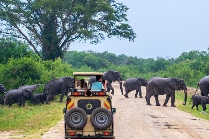 3-Day Safari in Queen Elizabeth National Park Uganda from Kampala - From Kampala to Queen Elizabeth: road trip reality check