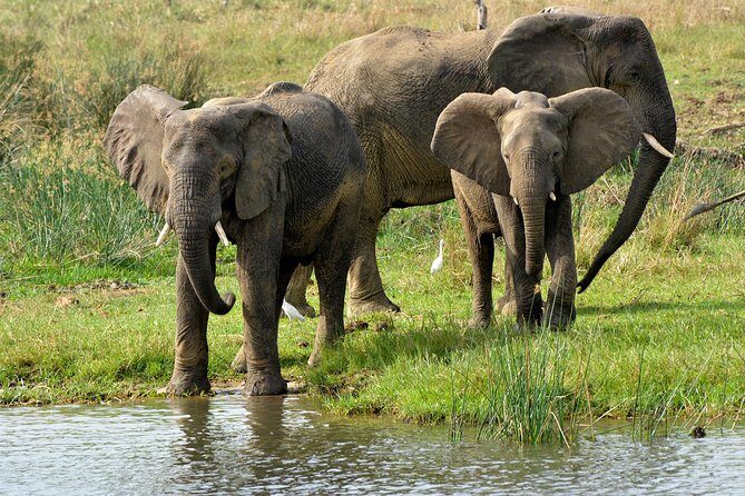 3 Days Murchison Falls Wildlife Safari - Murchison Falls National Park: hiking to the Nile’s 150-foot drop