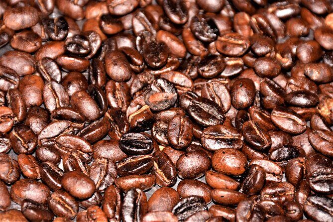 3 Days sipi falls tours and coffee - Day 2: Drive Views Toward Mbale, Then Coffee Tour with Washing Machines