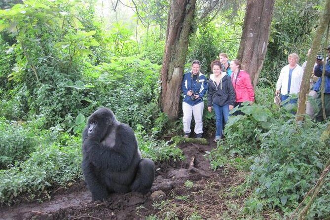 3 days Uganda Gorilla safari tour with relaxation on Lake Bunyonyi - The long scenic drive to Bwindi (and why it matters)