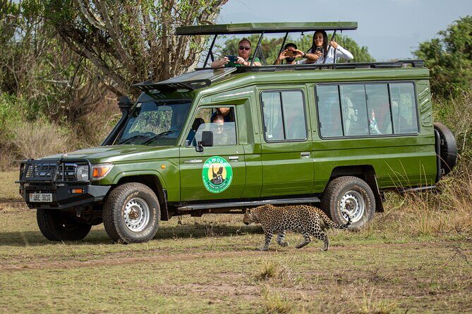 4-Day QENP, Gorillas in Bwindi and Lake Bunyonyi relaxation - Irungu Forest Safari Lodge and the comfort after long days