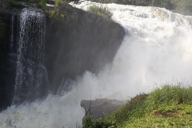 6 Days Chimps, Gorillas & Murchison Falls Africa's Big Five Experience Safari - Day 1: Kampala to Murchison Falls, plus White Rhino tracking