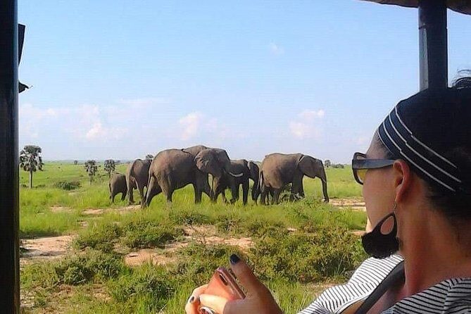 7-Day Uganda Adventure Safari - Midrange Lodges - The big idea: two parks plus rhinos, all in 7 days