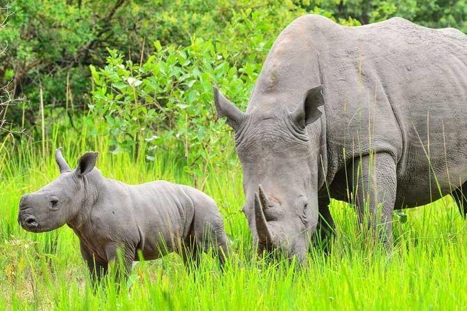 7-Day Uganda Adventure Safari - Midrange Lodges - The Fort Portal detour: a smarter way to break the long transfer