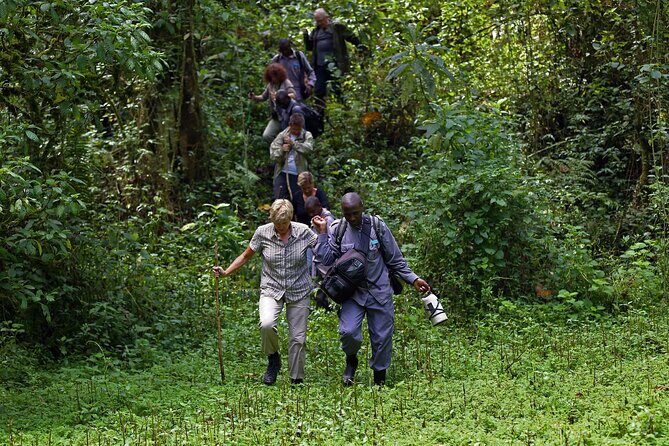 7 Days Flying Gorillas and Wildlife Safari Uganda Private Tour - Day-by-Day: What Each Stop Really Feels Like