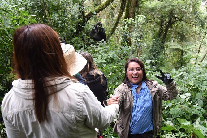 8-Day Private Uganda Big 5 Luxury Safari with Gorillas and Chimps - Chimpanzee tracking at Kanyachu: rules and patience