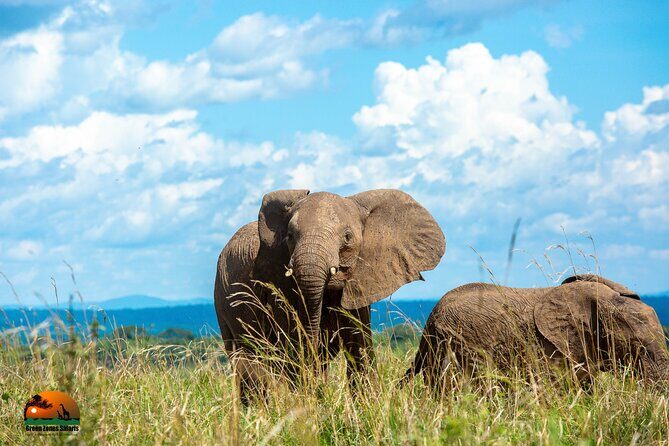 8 Days Gorillas, Primates & Wildlife Safari Uganda Safari - Price and What You’re Really Getting for $5,810