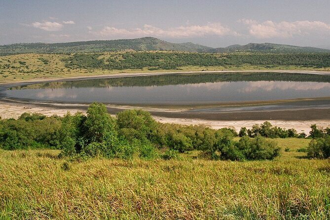 8 Days Gorillas, Primates & Wildlife Safari Uganda Safari - Queen Elizabeth: Big Wildlife Drives Plus the Kazinga Channel Cruise