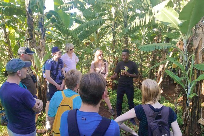 Coffee Tour Experience - Coffee Styles You Can Sample: Natural, Semi Washed, and Honey Types
