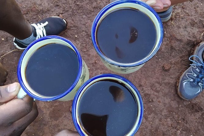 Coffee Tour Experience - Who Your Guide Might Be (And What the Best Ones Do)