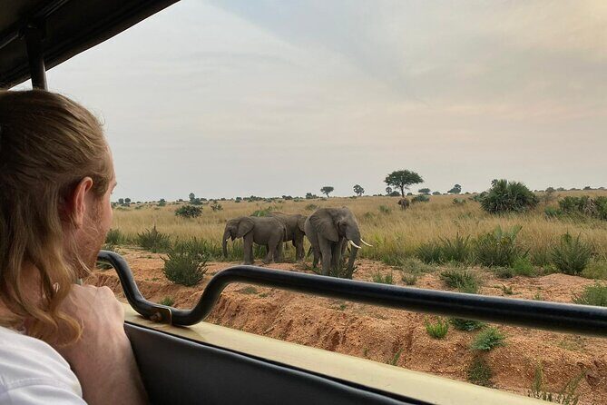 Gorilla & Chimpanzee Trekking in Uganda - 5 Days - The first leg: equator stop and settling into Mweya Safari Lodge