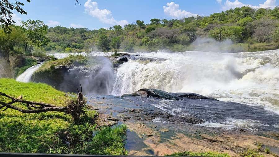 Kampala: 3-Day Murchison Falls Safari - Day 2 Morning Game Drive: Best Light, Best Odds, and the Nile Divide