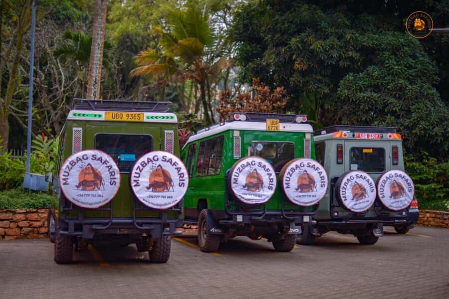 The Big5 3 Days Wildlife Adventure Experience in Uganda. - Two game drives that actually change your odds