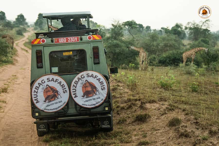 The Big5 3 Days Wildlife Adventure Experience in Uganda. - Wildlife expectations: what you can realistically spot